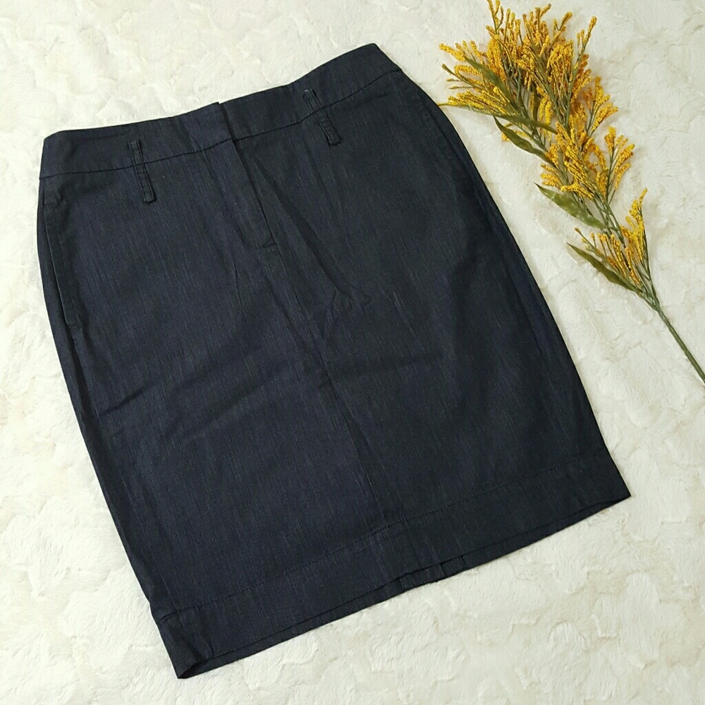 Ann Taylor Loft Pencil Skirt Size 2 (Like New)